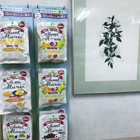 福神調剤薬局 曙店 写真