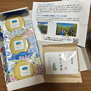 スーパーフード「モリンガ」